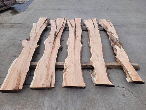 Yew log for - yew,