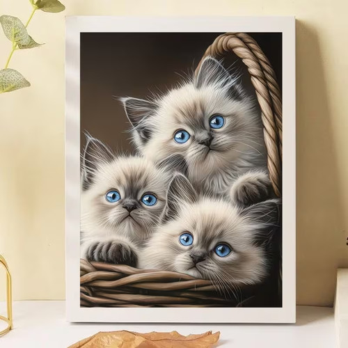 Trio cute blue eyed kittens - cute,