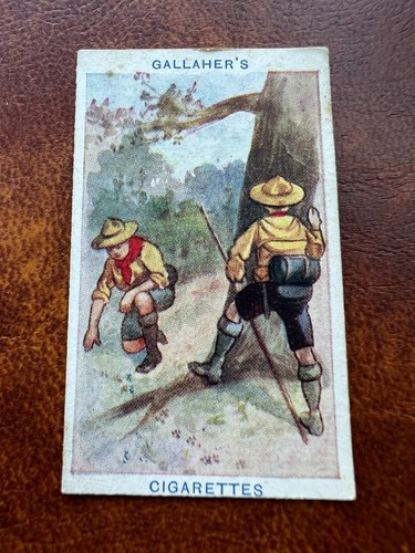 Gallaher cigarette card boy - gallaher,