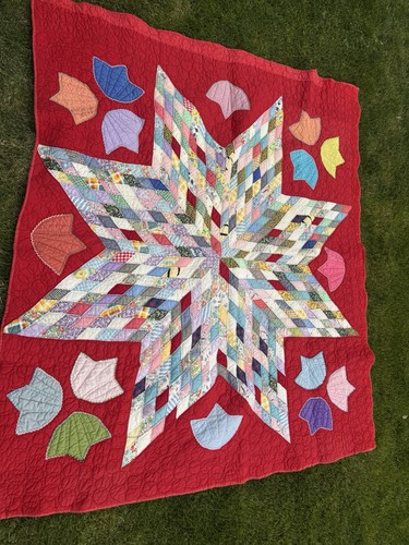 Antique quilt lone star - quilt, feed