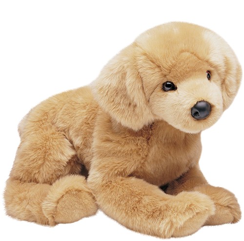 Douglas honey golden retriever - douglas,