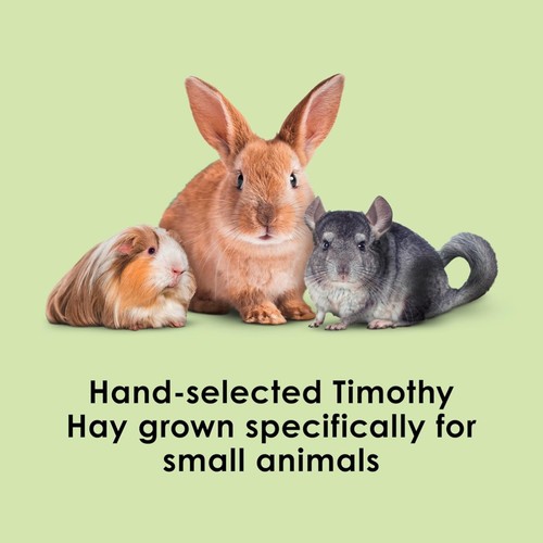 All natural timothy hay - all,