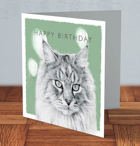 Maine coon cat birthday - coon,