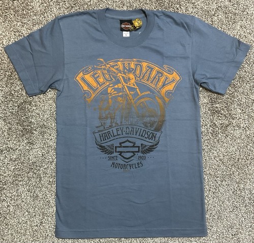 Harley davidson chopper - harley,