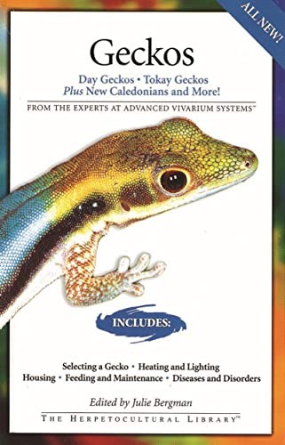Geckos day tokay - day,