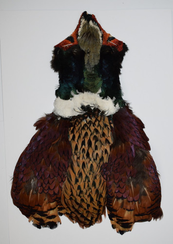 Cock pheasant cape - pheasant,