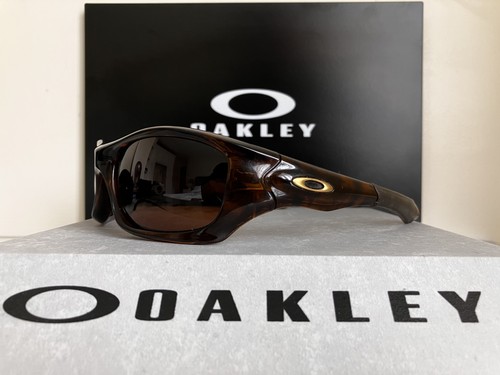 Oakley pit bull - oakley,