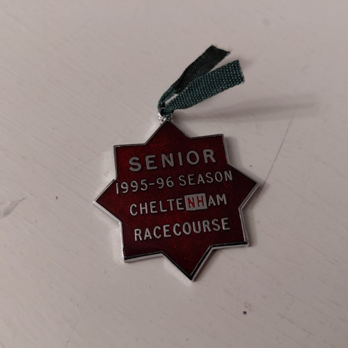 Official members lapel metal - members,