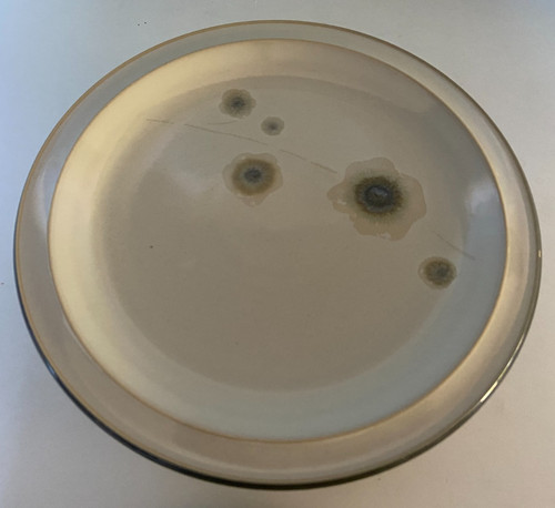 Denby langley smokestone - denby,