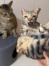 Personalized Pet Pillow Custom