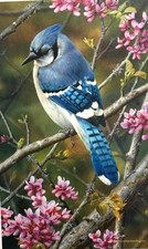 Carl Brenders  Flash Of