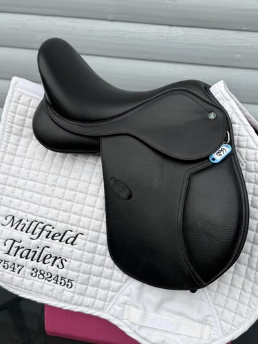 Inch black arena pony all - arena,