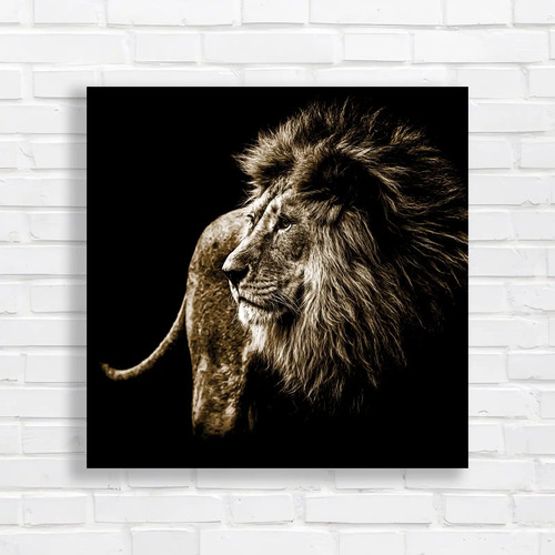 Lion the shadows square - the,