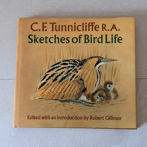 Sketches birdlife c - birdlife, f