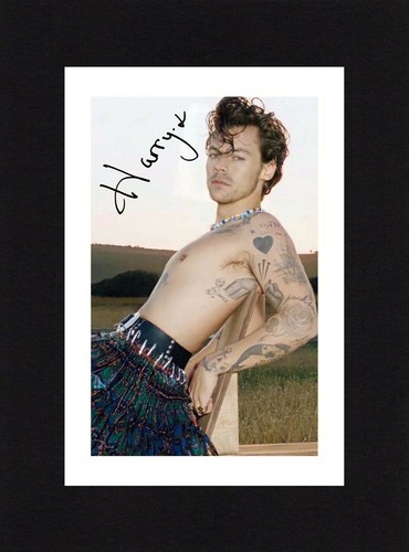 8x6 mount harry styles - 8x6,