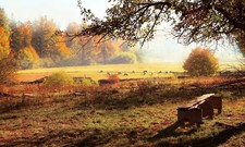 STUNNING COUNTRYSIDE CANVAS