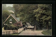 Postcard Castle Eden, Dene