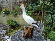 Large Wooden Gannet Sculpture