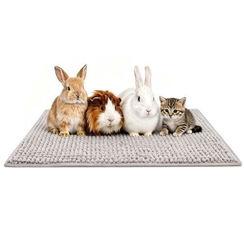 Washable guinea pig - guinea, cage