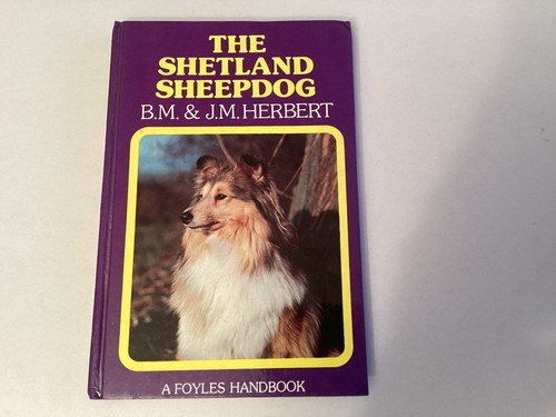 The shetland sheepdog - the,