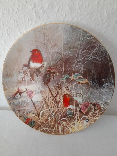 Robin redbreast decorative - robin,