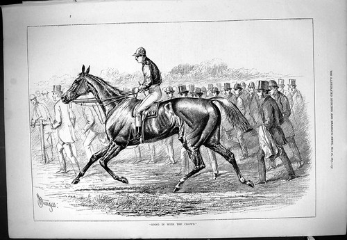 Old print 1877 horse - 1877, racing