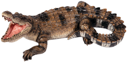 Snapping crocodile garden - snapping,