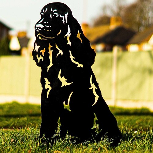 Springer spaniel garden - springer, home