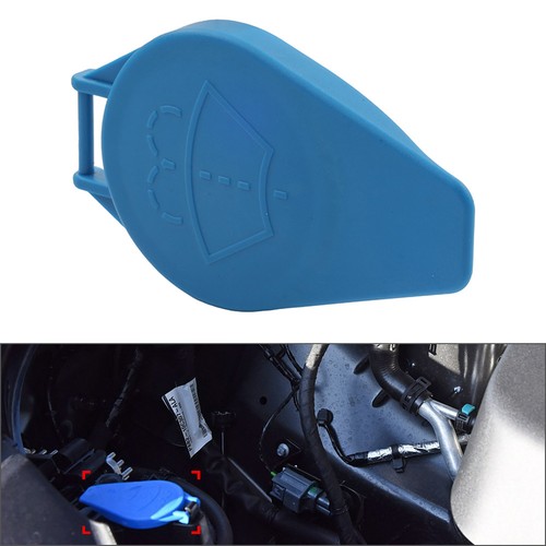 Windshield washer bottle - bottle, cap