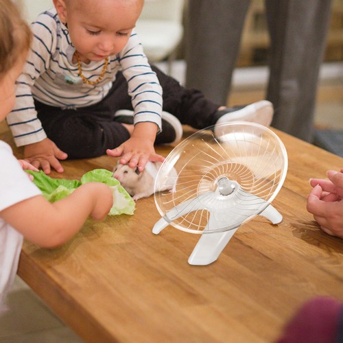 Reusable wheel chinchilla - wheel,
