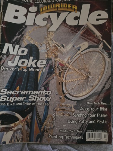 Winter 1997 lowrider - winter, bicycle
