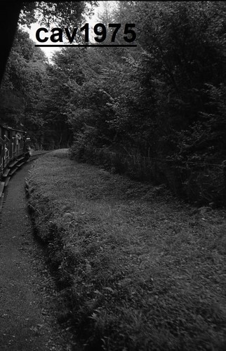 1964 jacobs 35mm negative - jacobs,