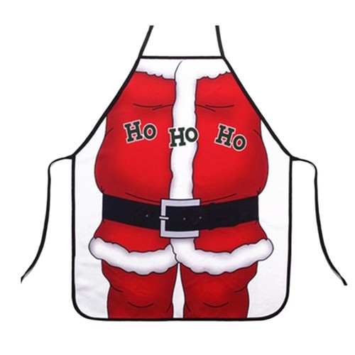 Adult santa claus - claus, apron