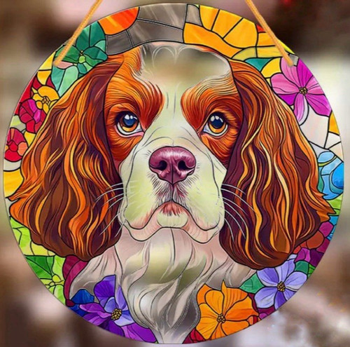 Cavalier king charles spaniel - king,