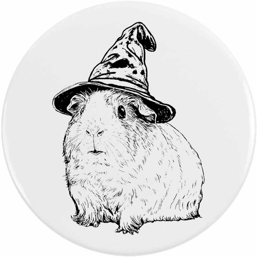 Guinea pig with - 'guinea, hat'