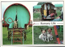 Picture Postcard:-Romany Life, Appleby Horse Fair (Multiview) [Pedley]