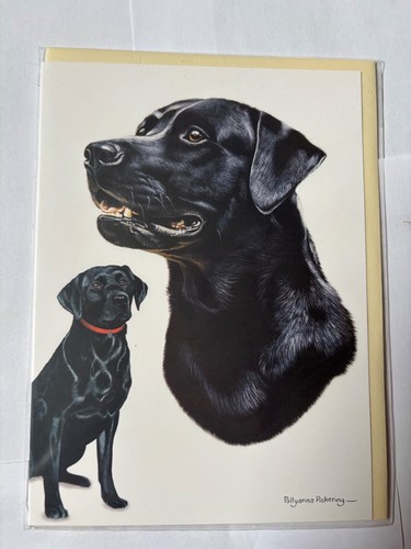 Black chocolate yellow - chocolate,