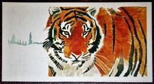 SIBERIAN TIGER  Vintage 1970's