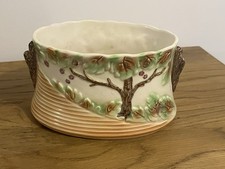 SYLVAC MAPLE TREE SMALL