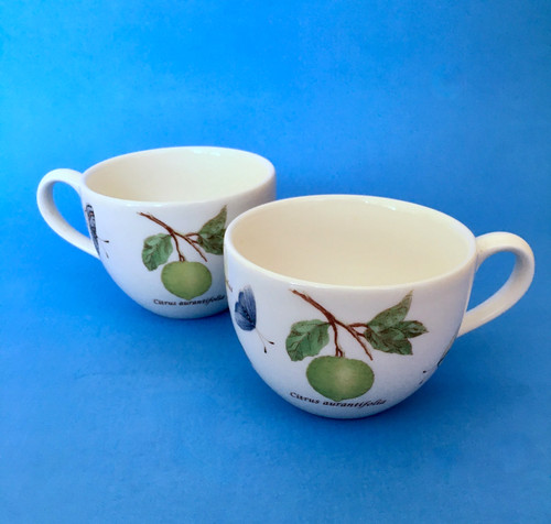 Wedgwood sarah garden cups - wedgwood,