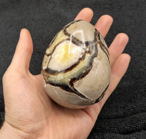 Large septarian egg - egg, yellow