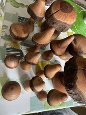13 Vintage Wooden Mushrooms