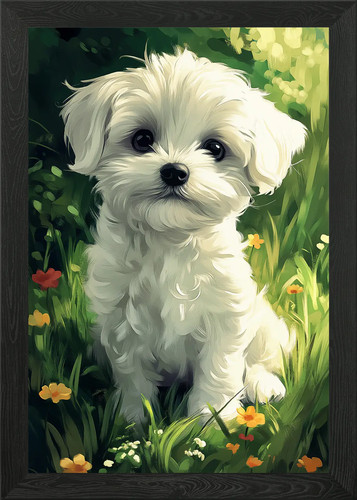Maltese dog puppy - maltese,