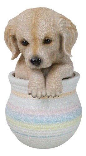 Realistic golden retriever - realistic,