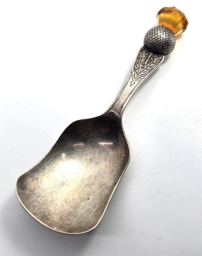 Scottish thistle orange gem - scottish,