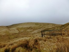 Photo A2 Larsen Trap below