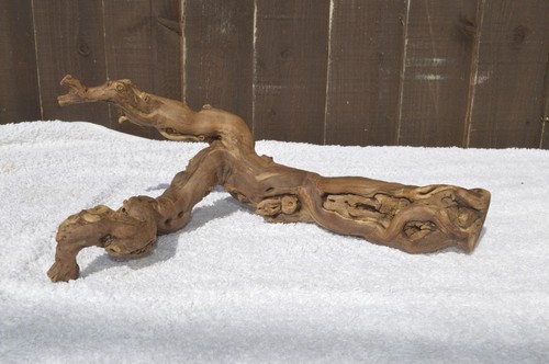 Wood for vivarium - wood,