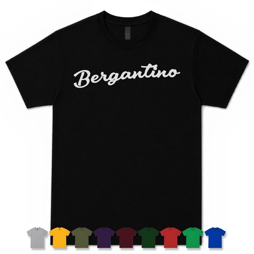 Bergantino retro script - retro,