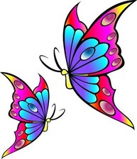 Multicoloured Butterfly Car