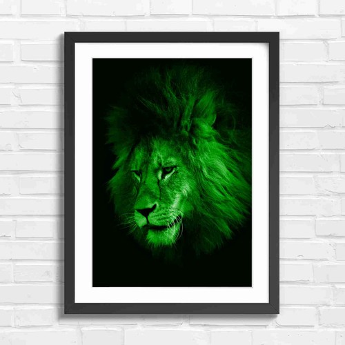 Majestic male lion - male,